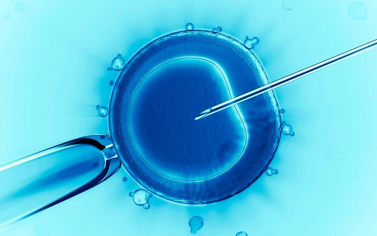 Inseminación Artificial: Proceso y Expectativas Post-Tratamiento