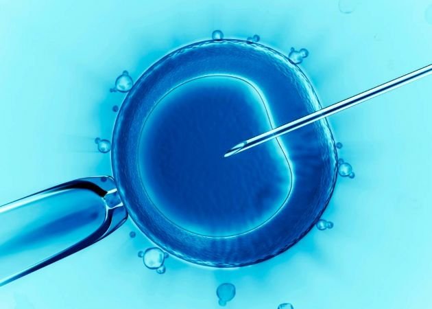 Inseminación Artificial: Proceso y Expectativas Post-Tratamiento